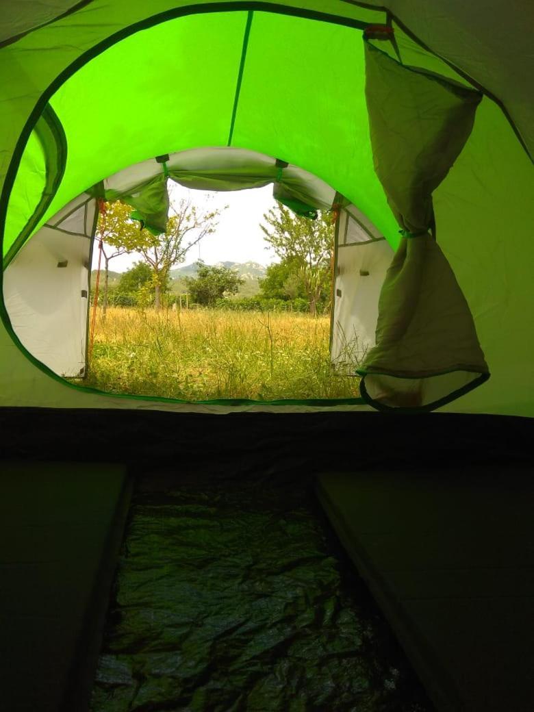 ホテル Albturist Ecocamping Permet & Outdoor Sports Center 部屋 写真