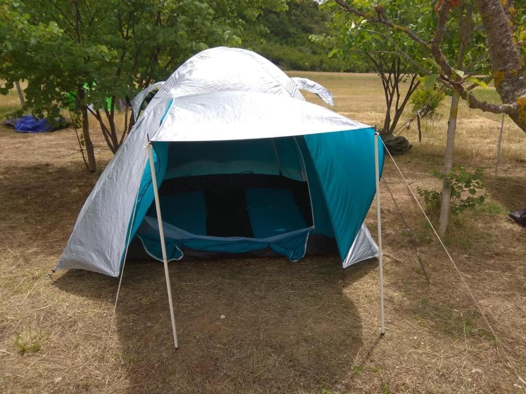 ホテル Albturist Ecocamping Permet & Outdoor Sports Center 部屋 写真